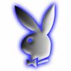 playboy