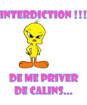 !!!!!!!!!!!!!!!